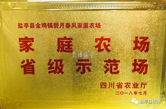 眉山家庭农场：现代农业的新面貌