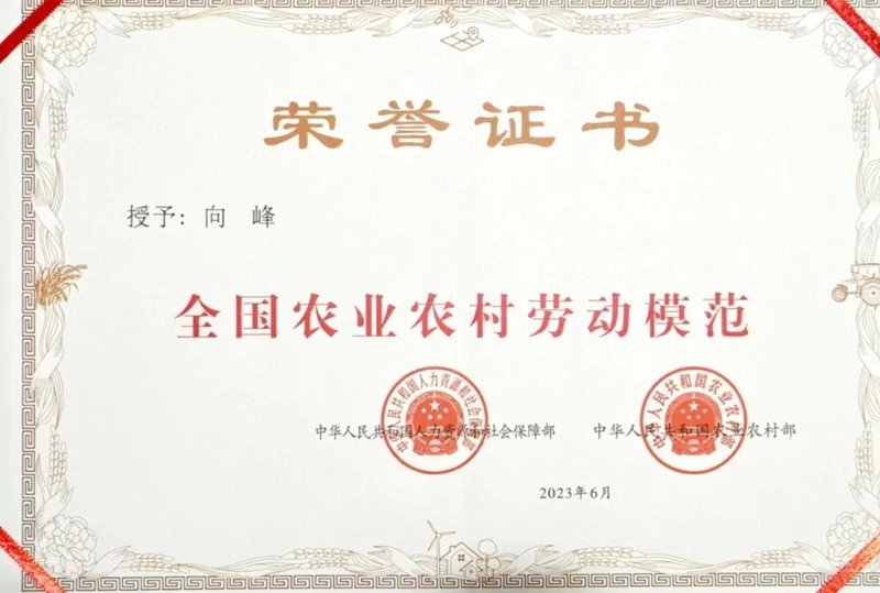 眉山家庭农场