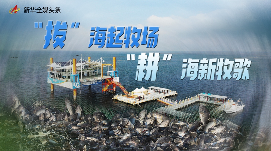 自由地家庭农场